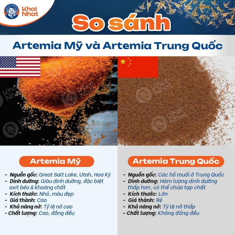 So-sanh-Artemia-My-va-Trung-quoc