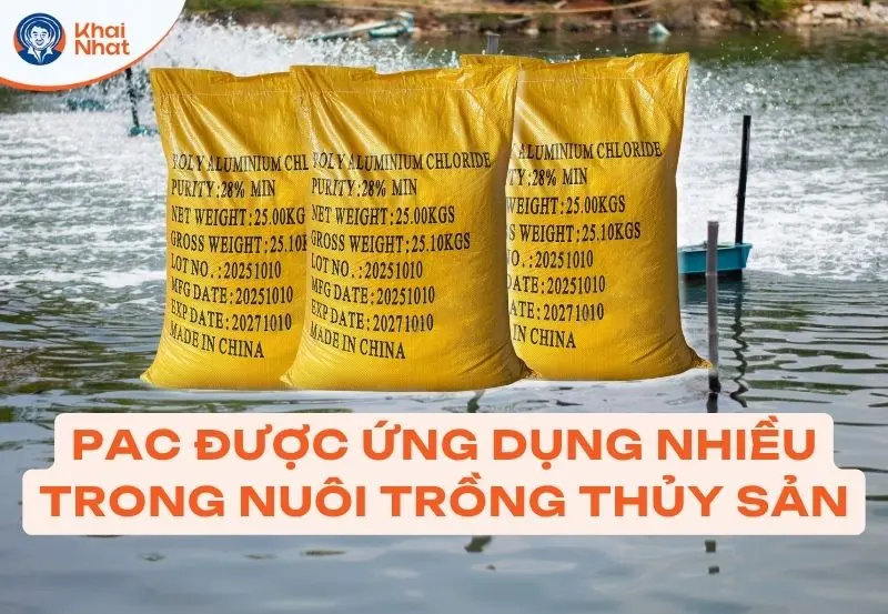 PAC được xem là mật chất đa năng trong nuôi trồng thủy sản