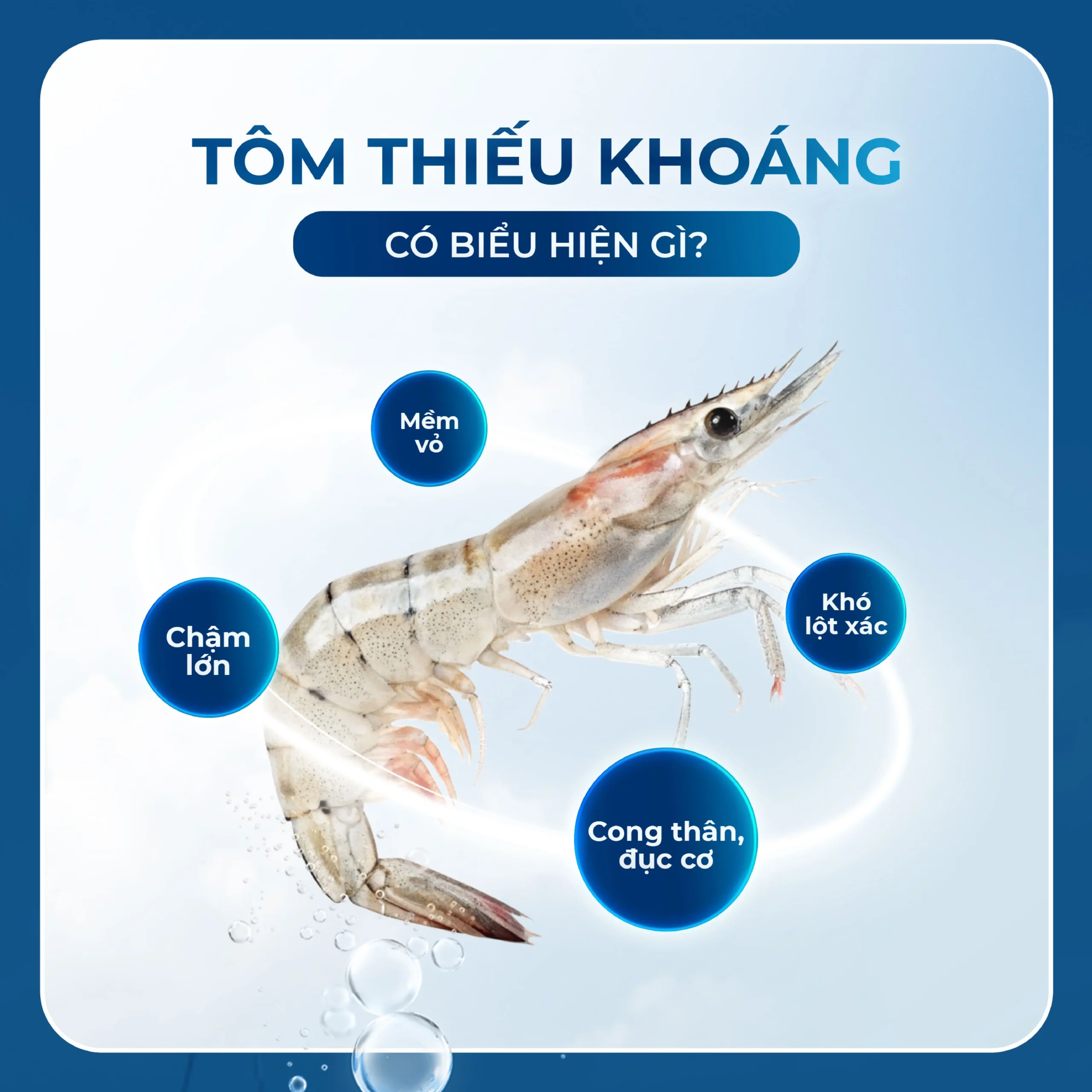 Khoáng đa năng - Azomite Mỹ - Image 4