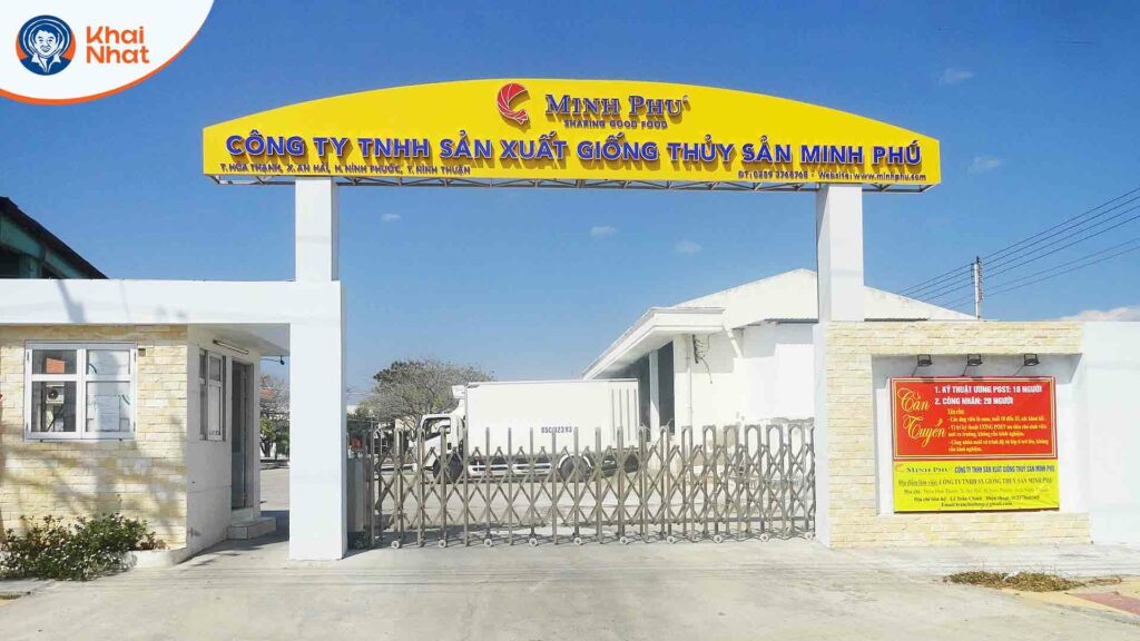 tap-doan-thuy-san-minh-phu-va-khai-nhat-4