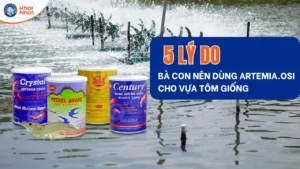 Điểm danh 5 lý do artemia dùng cho vựa tôm giống mà bà con cần biết