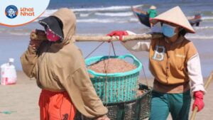 quang-ngai-ngu-dan-trung-mua-ruoc-bien