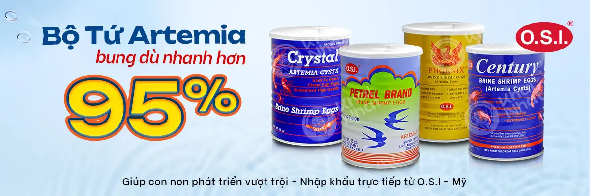 banner web site cho danh mục artemia