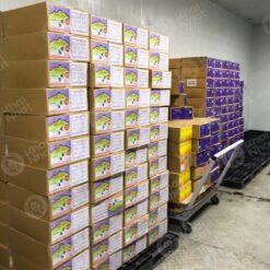 artemia-osi-my-hai-yen