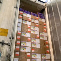 artemia-osi-my-hai-yen