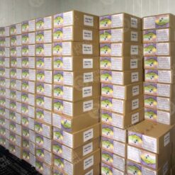 artemia-osi-my-hai-yen