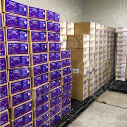 artemia-osi-my-century-va-hai-yen