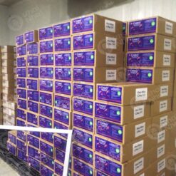 artemia-osi-my-century