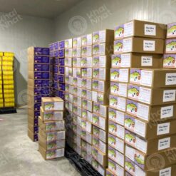 artemia-osi-my-hai-yen