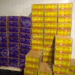 artemia-osi-my-crystal-phuong-hoang