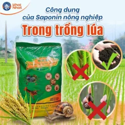 Hình ảnh saponin được sử dụng trong trồng lúa