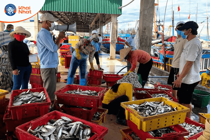 quang-ngai-khac-phuc-ton-tai-han-che-trong-khai-thac-iuu