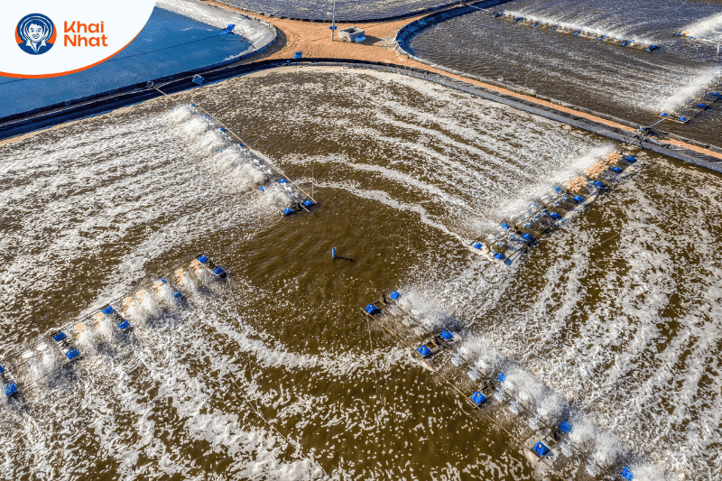 xu-ly-nuoc-bang-chlorine-4