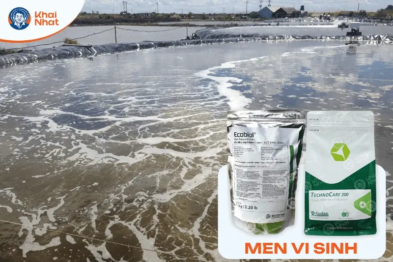 7 lợi ích của men vi sinh cho tôm