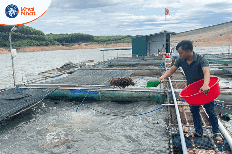 quang-binh-dien-tich-tha-nuoi-thuy-san-dat-gan-6-400ha