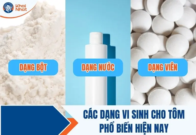 Các dạng men vi sinh phổ biến hiện nay