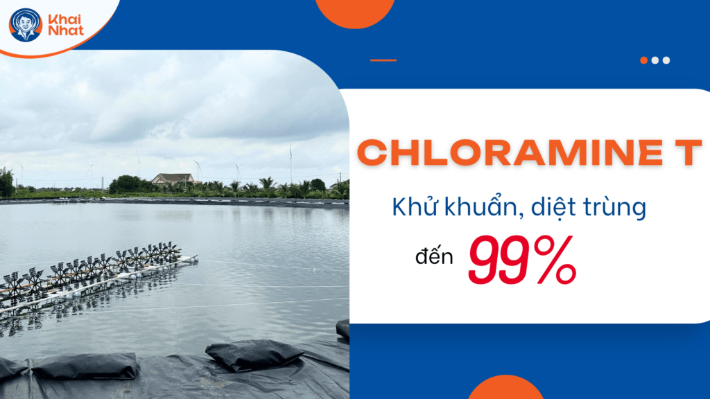 Chloramine T - Khai Nhật