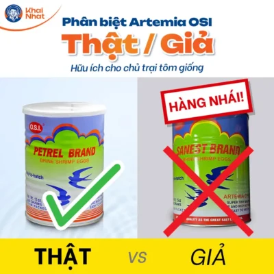 Cách phân biệt artemia thật và giả