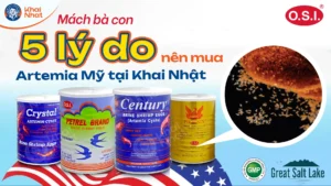 5 lý do mà bà con nên chọn mua các sản phẩm artemia đến từ Khai Nhật