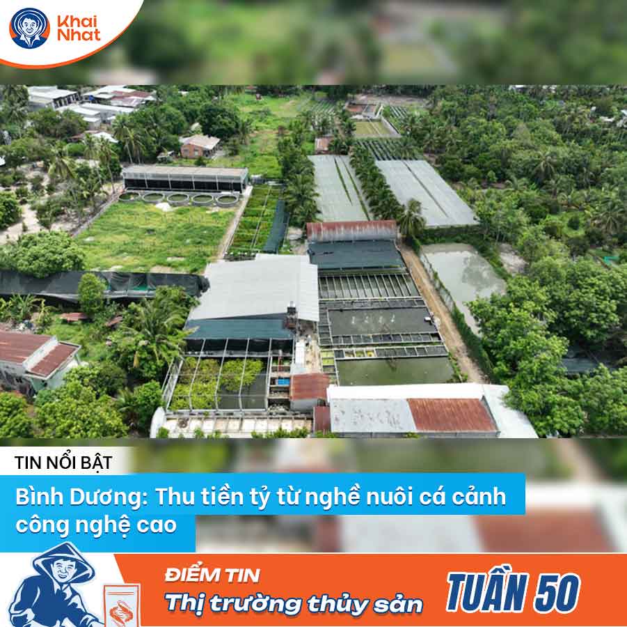 binh-duong-thu-tien-ty-tu-nghe-nuoi-ca-canh-cong-nghe-cao