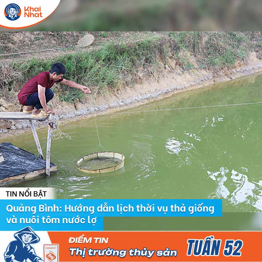 quang-binh-huong-dan-lich-thoi-vu-tha-giong-va-nuoi-tom-nuoc-lo
