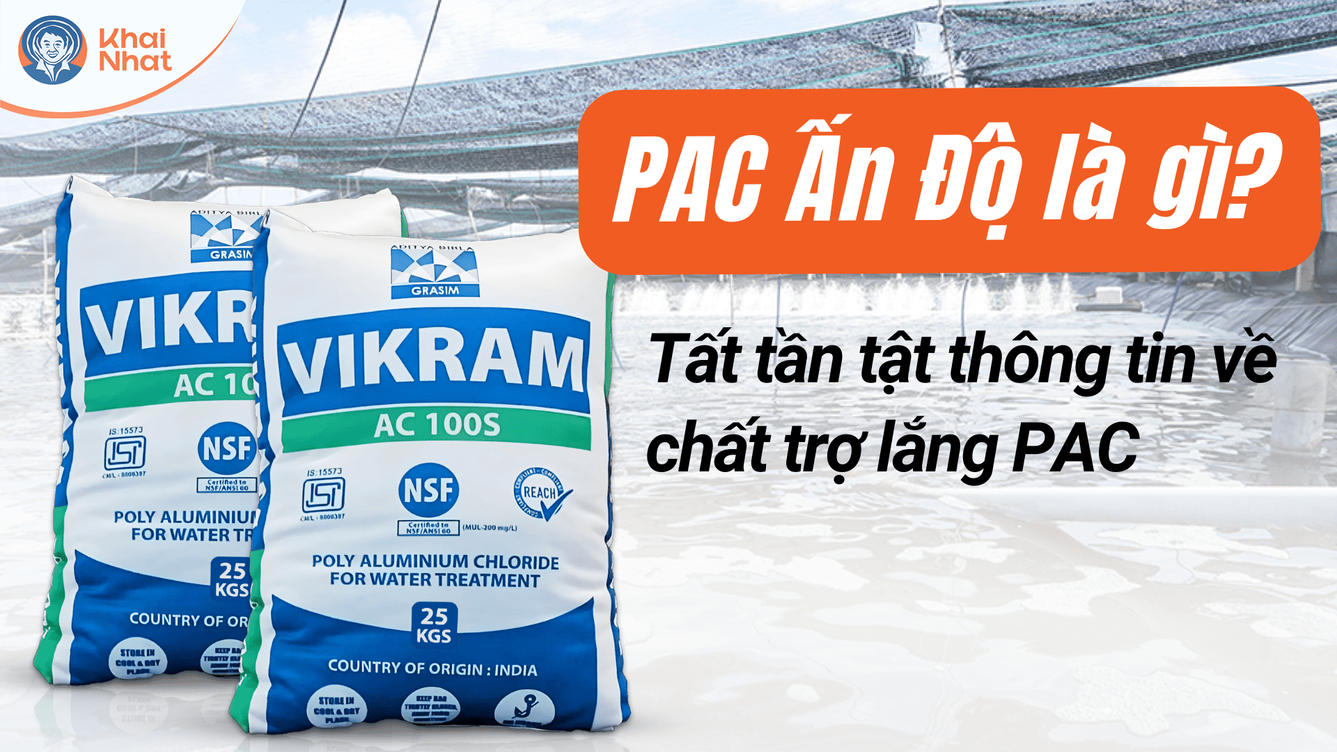 thumbnail-PAC-an-do-1.png