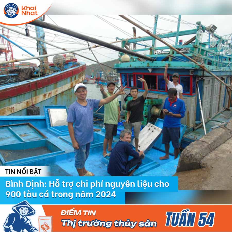 binh-dinh-ho-tro-chi-phi-nguyen-lieu-cho-900-tau-ca-trong-nam-2024