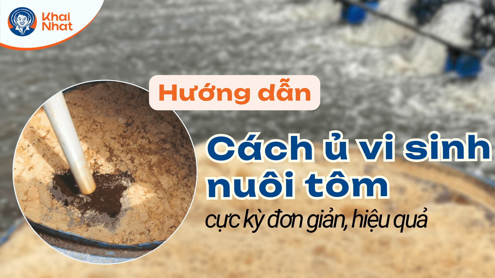 Cách ủ vi sinh cho tôm hiệu quả