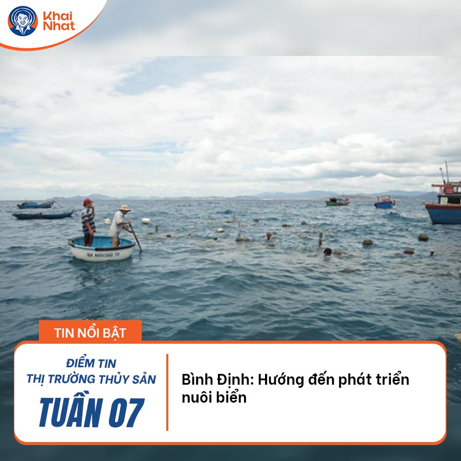 binh-dinh-huong-den-phat-trien-nuoi-bien