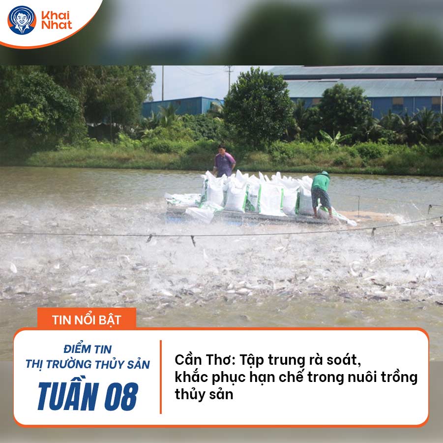 can-tho-tap-trung-ra-soat-khac-phuc-han-che-trong-nuoi-trong-thuy-san