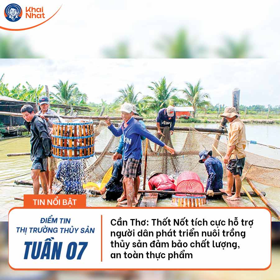 can-tho-thot-not-tich-cuc-ho-tro-nguoi-dan-phat-trien-nuoi-trong-thuy-san-dam-bao-chat-luong-an-toan-thuc-pham