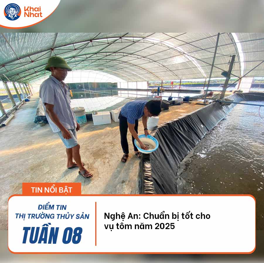nghe-an-chuan-bi-tot-cho-vu-tom-nam-2025