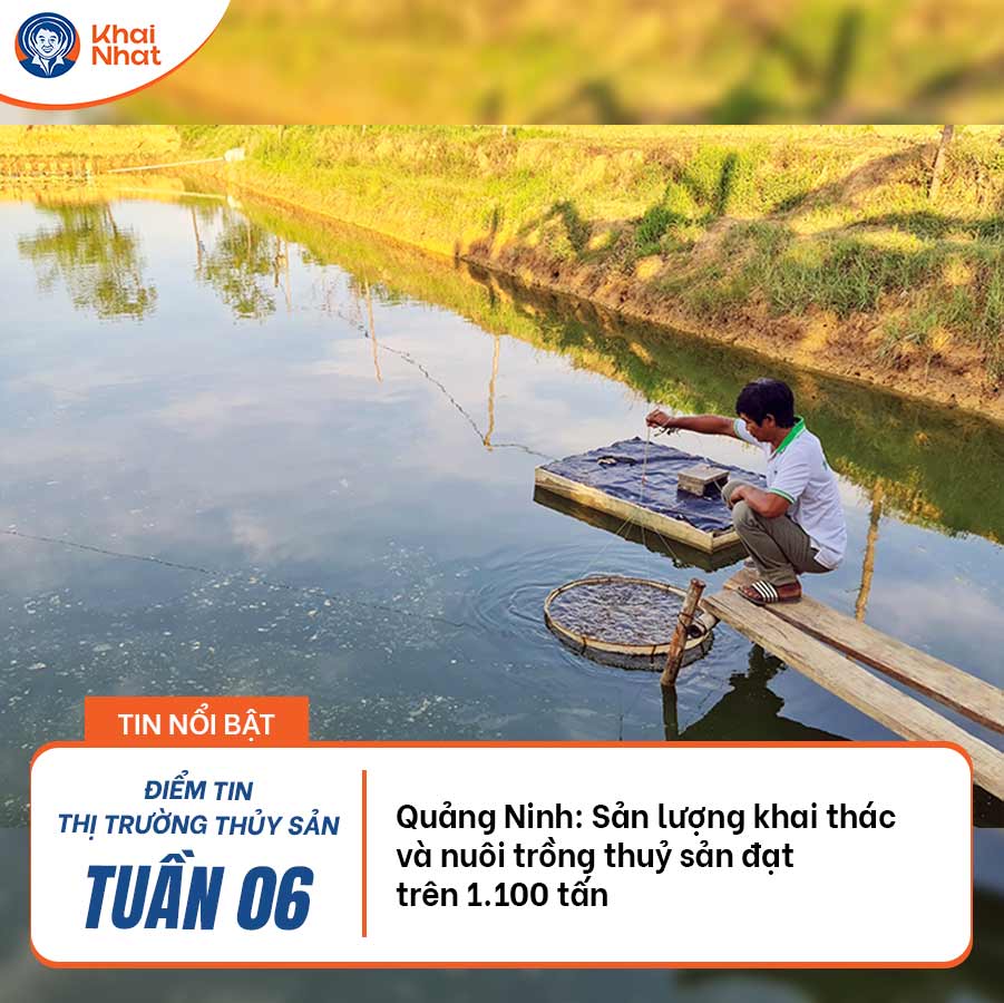 quang-ninh-san-luong-khai-thac-va-nuoi-trong-thuy-san-dat-tren-1-100-tan
