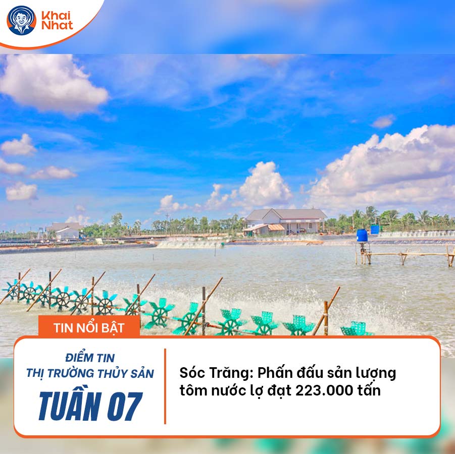 soc-trang-phan-dau-san-luong-tom-nuoc-lo-dat-223-000-tan