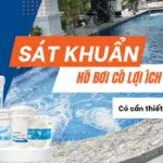 Sát khuẩn cho hồ bơi có lợi ích gì? tốt hay không