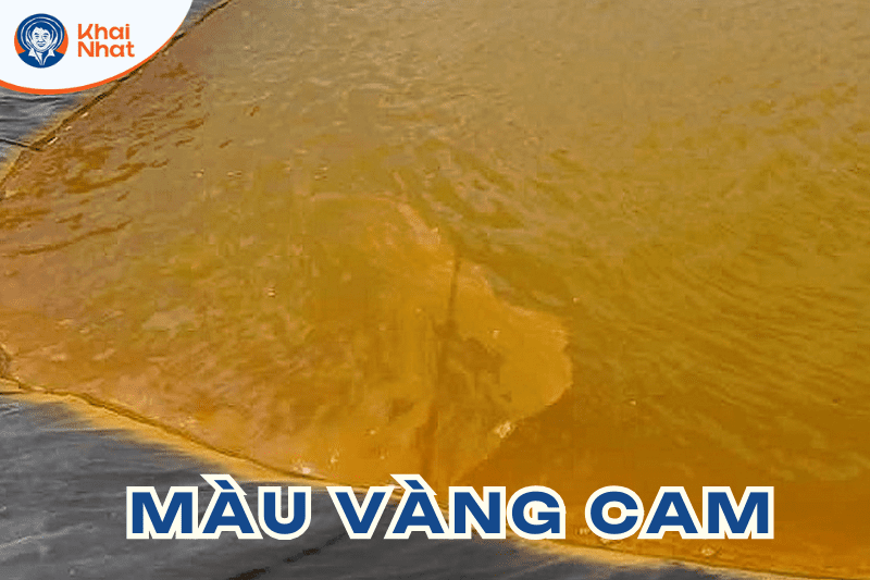 mau-nuoc-trong-ao-nuoi-tom (3)