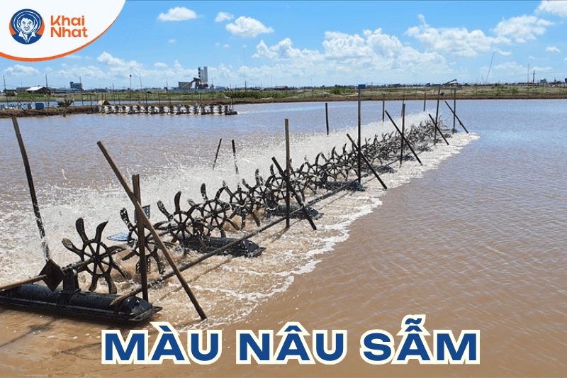 mau-nuoc-trong-ao-nuoi-tom (4)