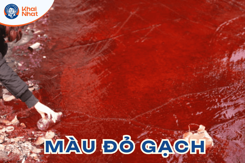 mau-nuoc-trong-ao-nuoi-tom (5)