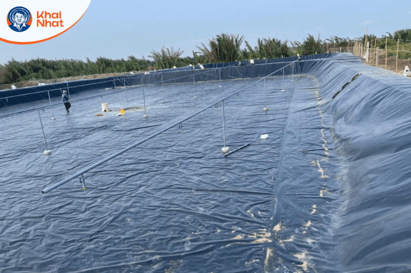 mau-nuoc-trong-ao-nuoi-tom (8)