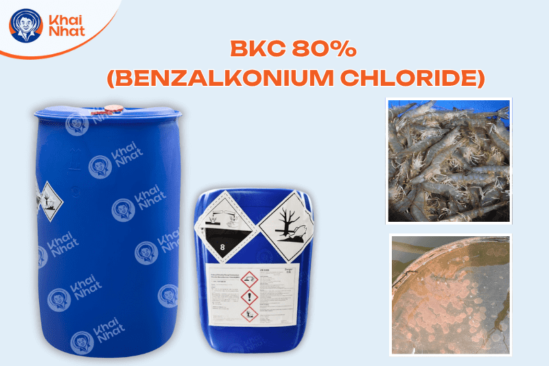 diet-khuan-ao-nuoi-tom (2)