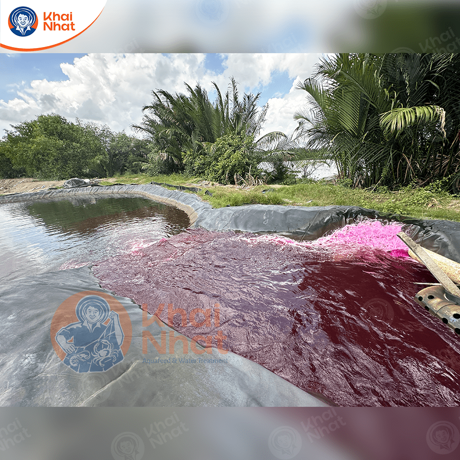 ty-le-pha-thuoc-tim-1