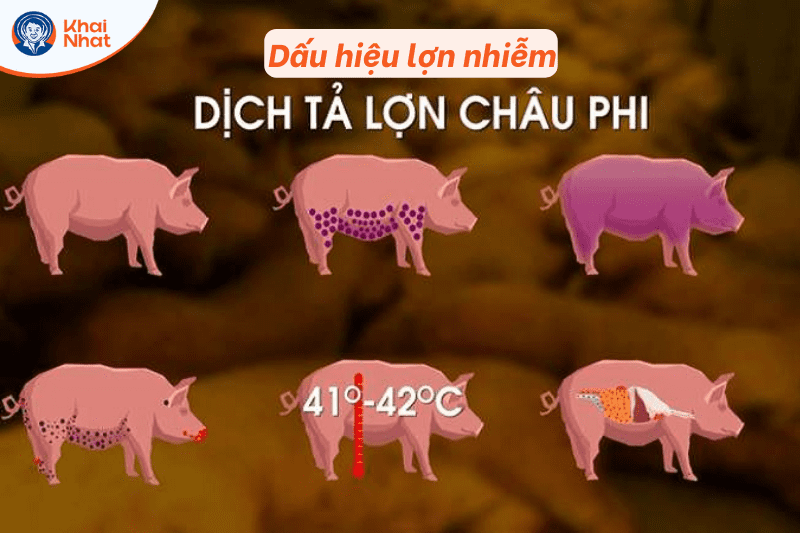 dich-ta-lon-chau-phi (1)