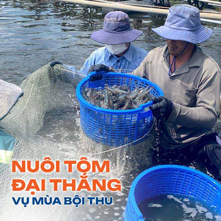 resize-banner-slide-5