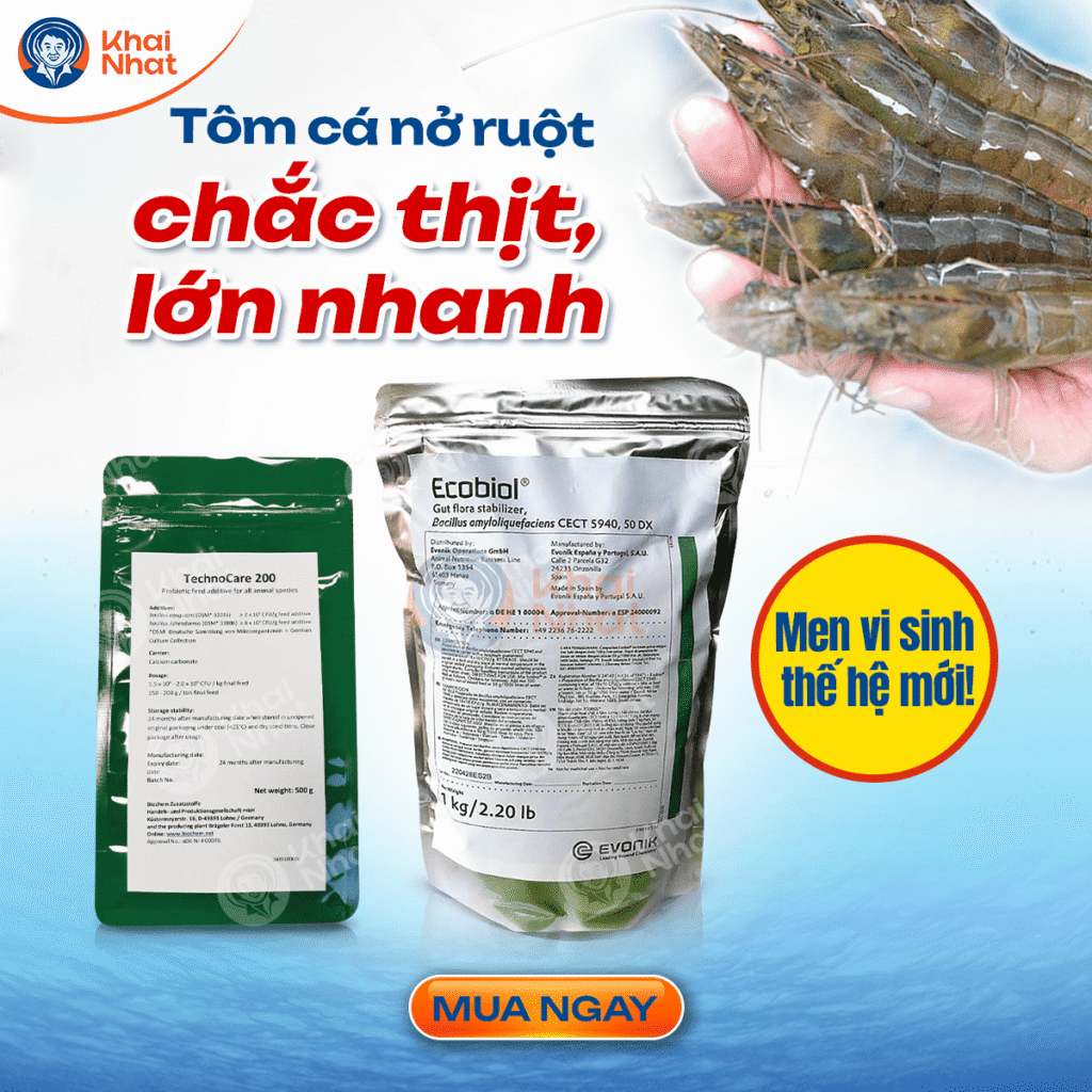 tom-lot-khong-cung-vo (7)