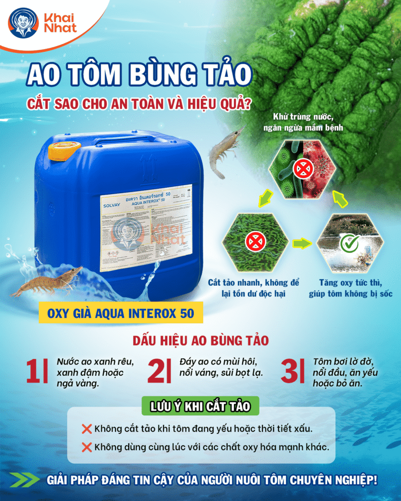 tom-lot-khong-cung-vo (8)