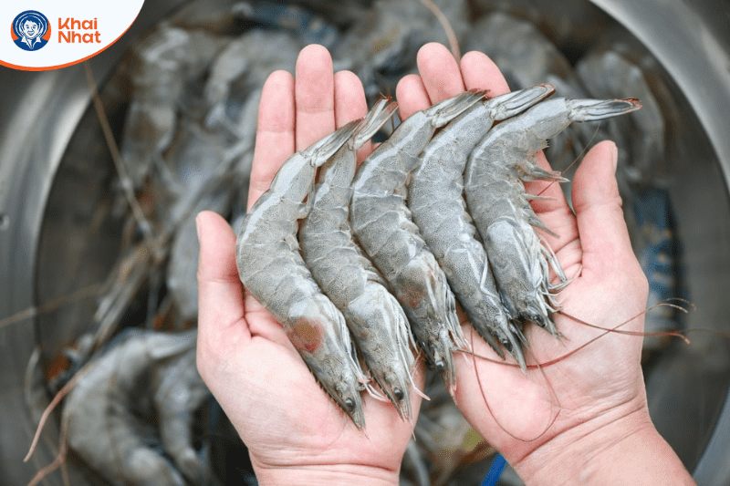 tom-lot-khong-cung-vo