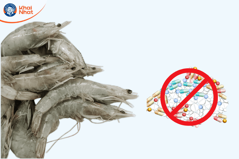 vi-khuan-gram-am (6)