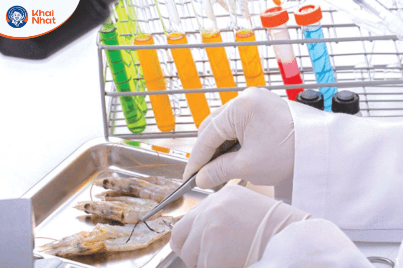 vi-khuan-gram-am (8)