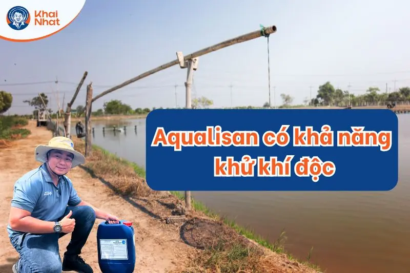 Aqualisan có khả năng khử khí độc có hại cho thủy sản