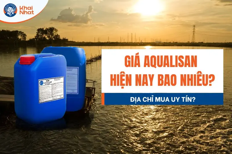 Giá aqualisan hiện nay là bao nhiêu? Mua ở đâu uy tín?